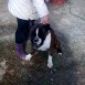 mis boxer prince y linda